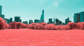 NYC Central Park Infrared 4K332882999 272x150 - NYC Central Park Infrared 4K - Park, NYC, Infrared, Champagne, Central